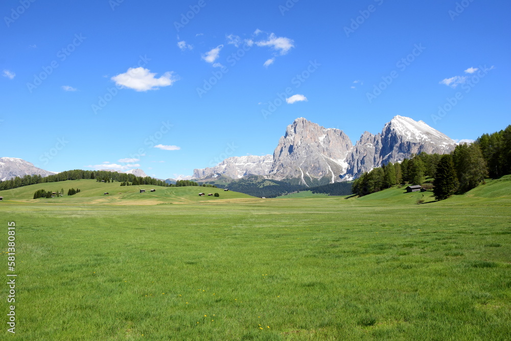 Seiser Alm in Südtirol , Urlaubsziel in Südtirol, berühmtes Wanderparadies, Italien, Europa im Sommer, wunderschöne Landschaft zum Wandern und Relaxen Seiser Alm in Südtirol , Urlaubsziel in Südtirol, berühmtes Wanderparadies, Italien, Europa im Sommer, wunderschöne Landschaft zum Wandern und Relaxen