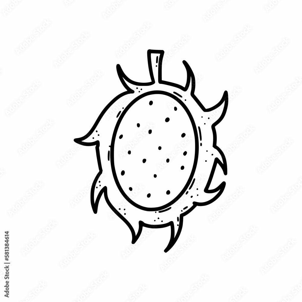 Dragon fruit. Exotic plant. Vector doodle illustration. Contour. Hand drawn sketch. Icon. Dragon fruit. Exotic plant. Vector doodle illustration. Contour. Hand drawn sketch. Icon.