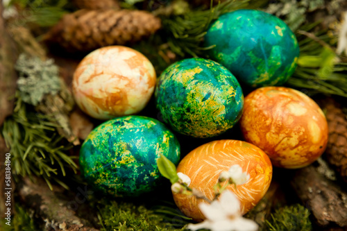 Easter. a Christian religious holiday. painted eggs in in the composition of spruce, pine cones and cherry blossoms. tradition to variegate with various colors and various techniques. Spring fest
