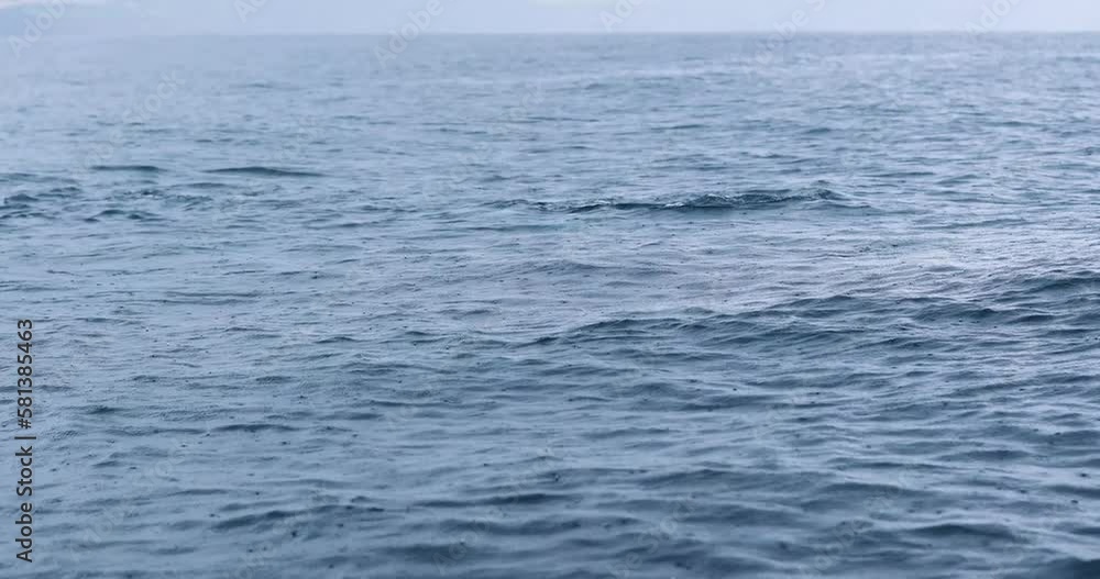 Fluke Of Dolphins Swimming In The Ocean On A Rainy Day Seen From The Boat. - POV Fluke Of Dolphins Swimming In The Ocean On A Rainy Day Seen From The Boat. - POV