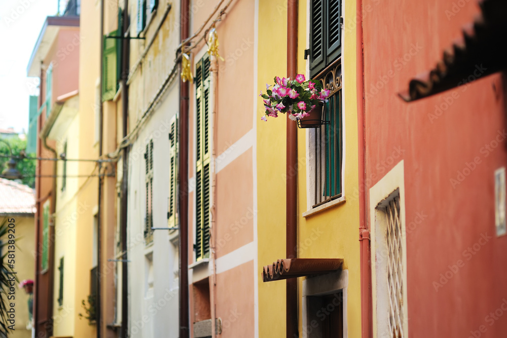 Flowers on the street of Manarola, located on rugged northwest coast of Italian Riviera, Liguria, Italy.