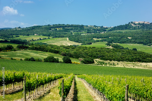 Stunning view of wineyards and farmlands with small villages on the horizon. Tuscany, Italy.