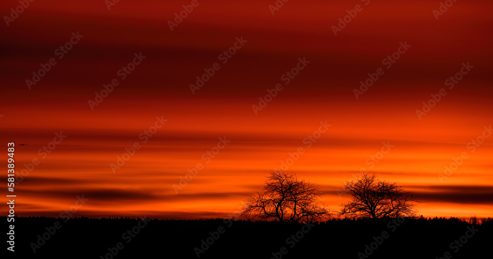 Autumn red sunset with trees on he horizon