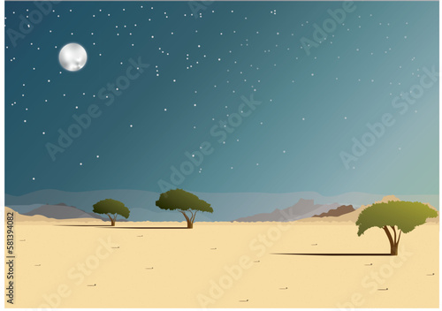 Desert landscape