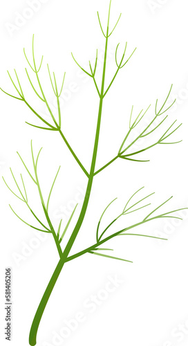 Dill leaf isolated. Fennel leaf for Salad. Natural ingredient. Culinary herb. Flat style. Object for design for banner  print  template. Cartoon PNG illustration