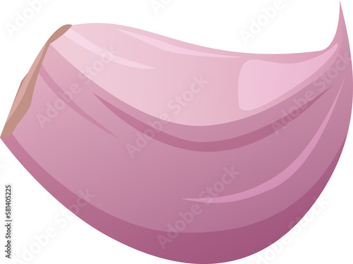 Garlic cloves isolated. Traditional medicine. Herb. Fresh root, slices, peel. Spicy condiment. PNG image, illustration
