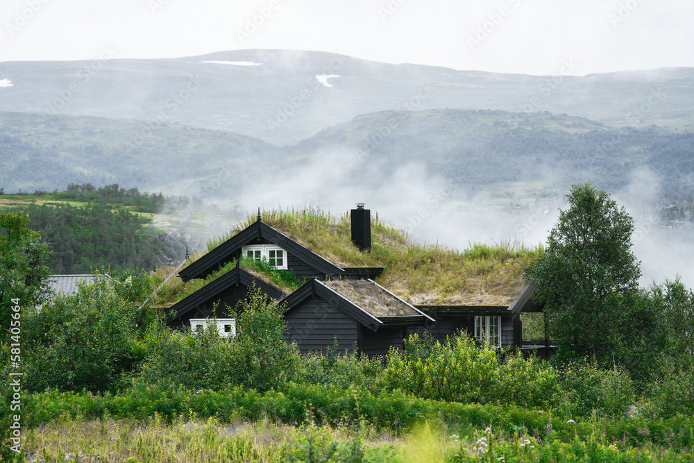 Classic Scandinavian hut with grass roof in the woods with view in Norway