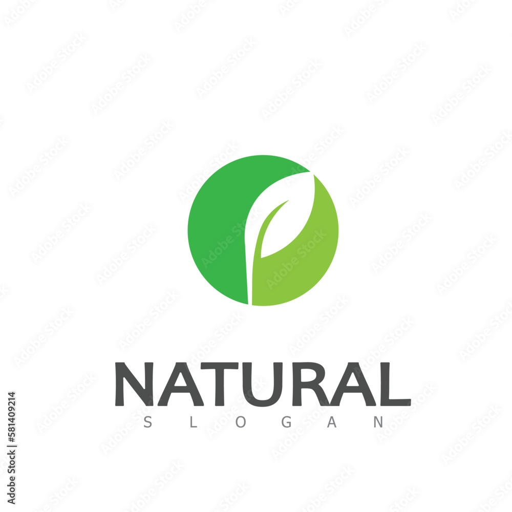 Natural Leaf nature eco Logo Design Template