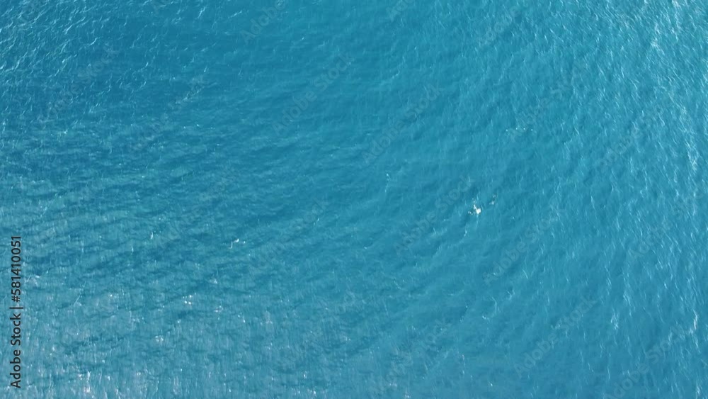 Therapeutic birdseye view of cerulean blue ocean water with gentle ripples Therapeutic birdseye view of cerulean blue ocean water with gentle ripples