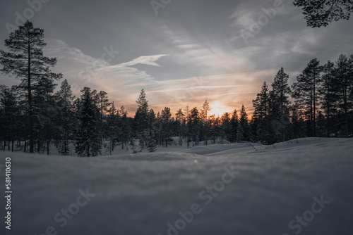 Swedish Winter © Joseph Thomas
