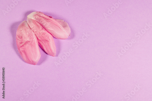 Lilac background with tulip petals