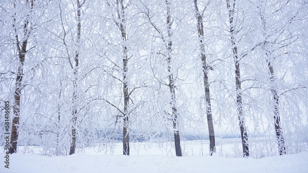 Beautiful landscape in snowy Swedish winter
