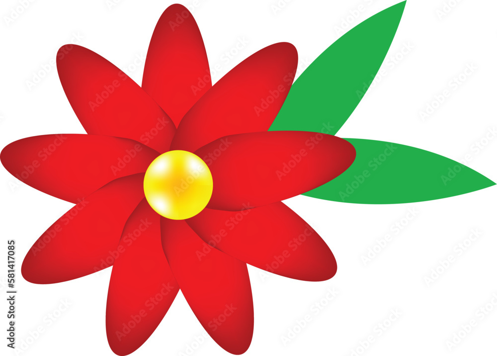 red flower isolated on white background red flower isolated on white background