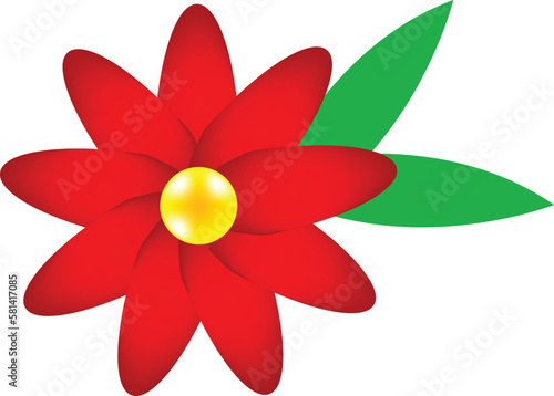 red flower isolated on white background