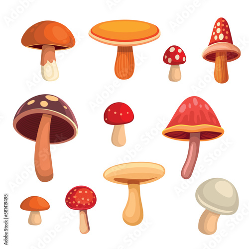 Cartoon Style Mushrooms Set on White Background. Vector