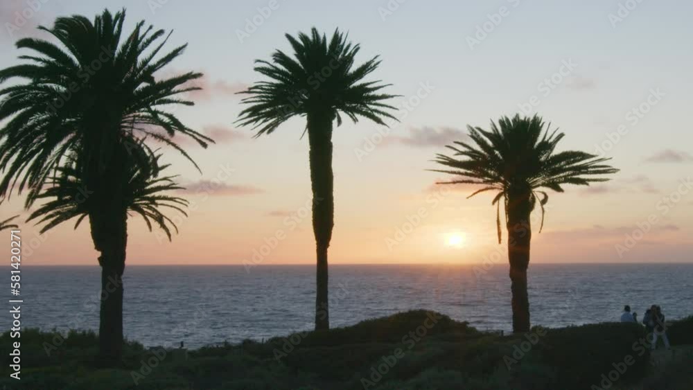 Slow motion shot of sunset through large palm trees with sun rays shining down on ocean with silouette of dad and baby in foreground. Slow motion shot of sunset through large palm trees with sun rays shining down on ocean with silouette of dad and baby in foreground.