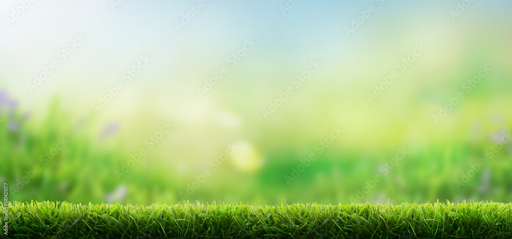 Fresh green garden grass lawn in spring, summer with bright bokeh of blurred foliage of springtime in the background