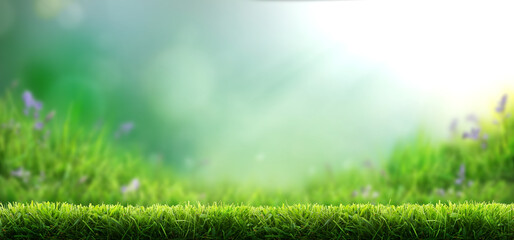 Fresh green garden grass lawn in spring, summer with bright bokeh of blurred foliage of springtime in the background
