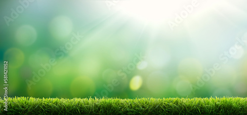 Obraz na płótnie Fresh green garden grass lawn in spring, summer with bright bokeh of sun rays and blurred foliage of springtime in the background w salonie