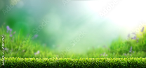 Obraz na płótnie Fresh green garden grass lawn in spring, summer with bright bokeh of blurred foliage of springtime in the background w salonie