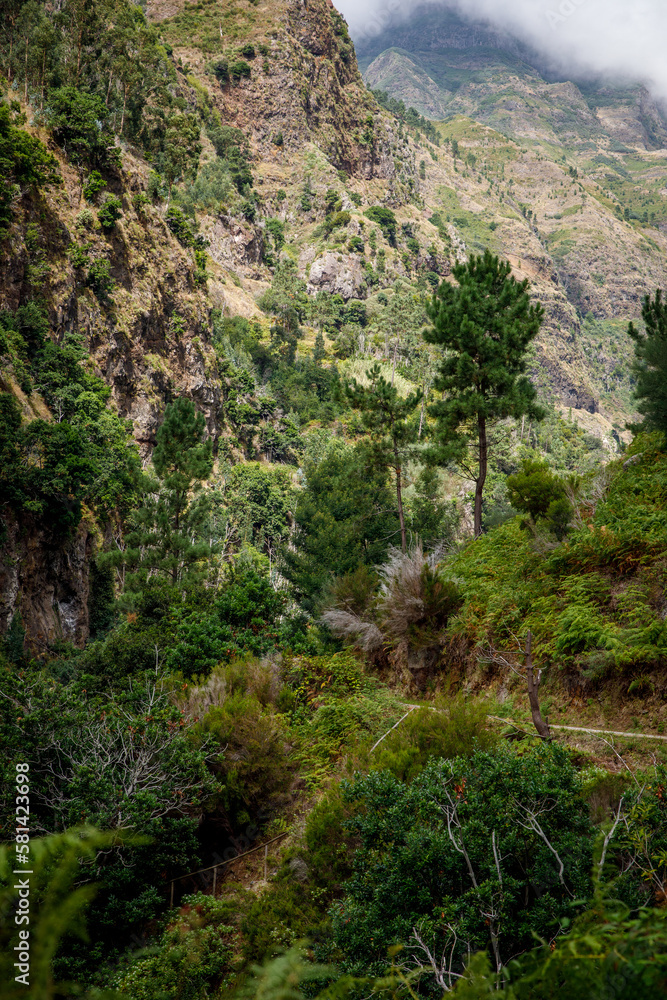 Beautiful green nature of Madeira island.