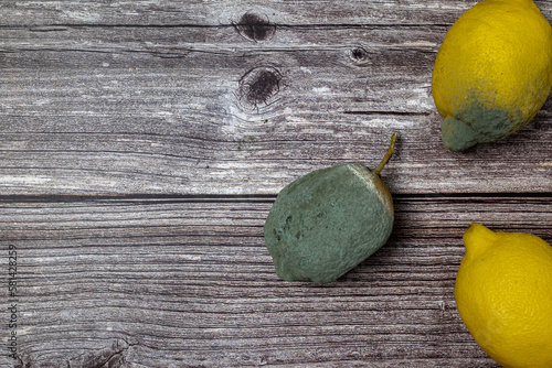 Photos Moldy yellow lemons