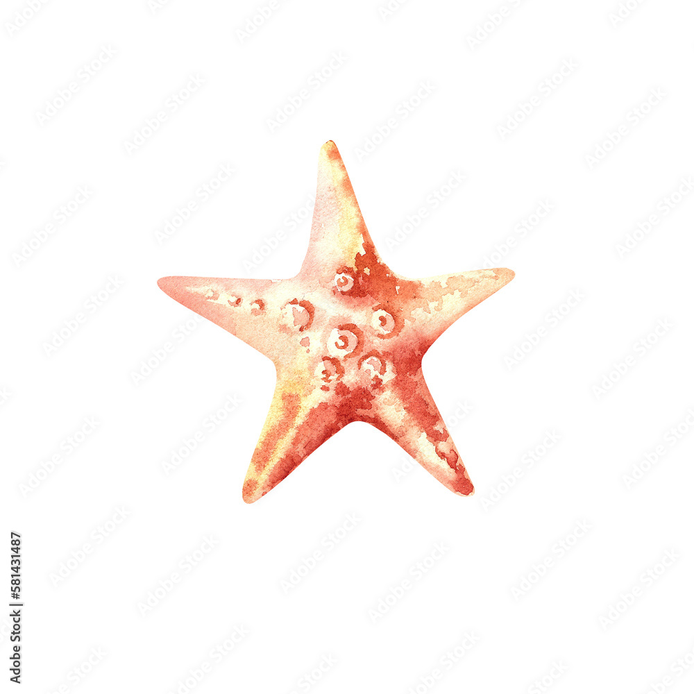 The starfish. Watercolor illustration on an isolated background. Marine animals. Inhabitants of the seabed. The starfish. Watercolor illustration on an isolated background. Marine animals. Inhabitants of the seabed.