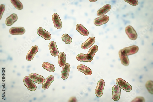 Prevotella bacteria, 3D illustration. Gram-negative anaerobic bacteria, cause anaerobic infections of respiratory tract and other location