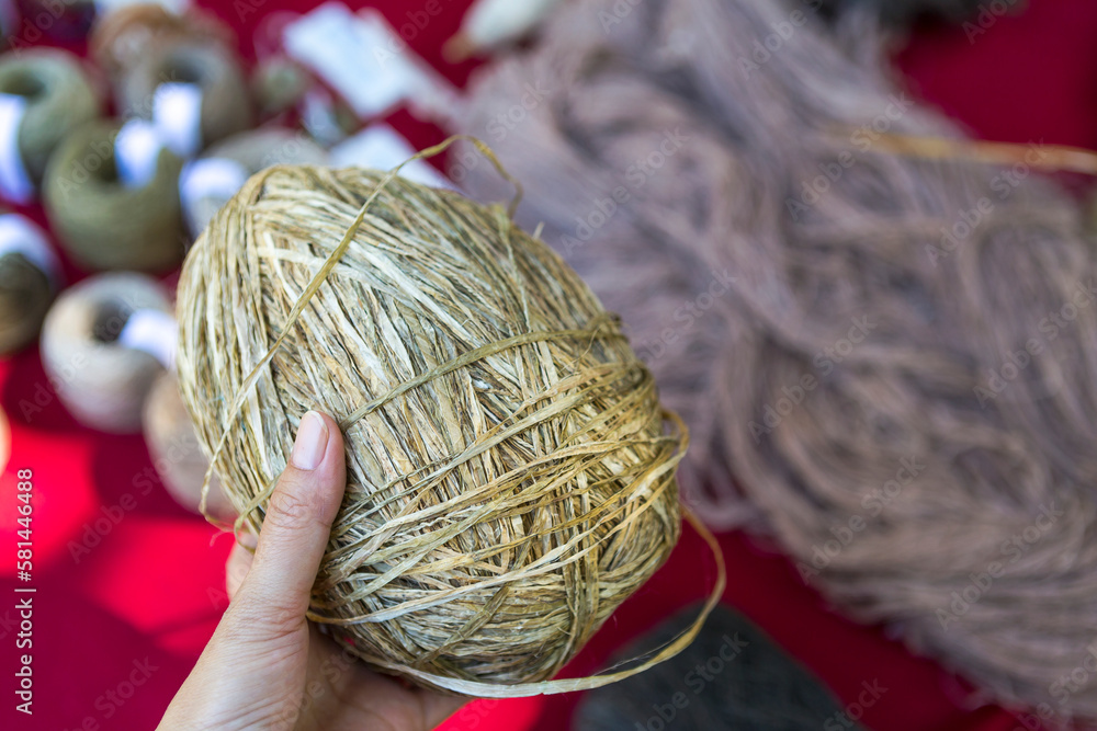 Hemp fiber in girl hand, Natural thread, eco product for craft and cloth making, product of Thailand Hemp fiber in girl hand, Natural thread, eco product for craft and cloth making, product of Thailand