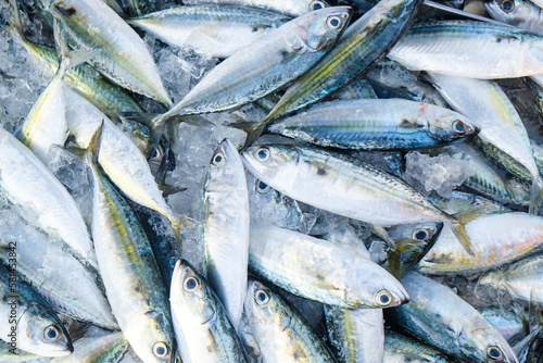 Fresh tuna fish frozen sell in traditioanal fishery market © themorningglory