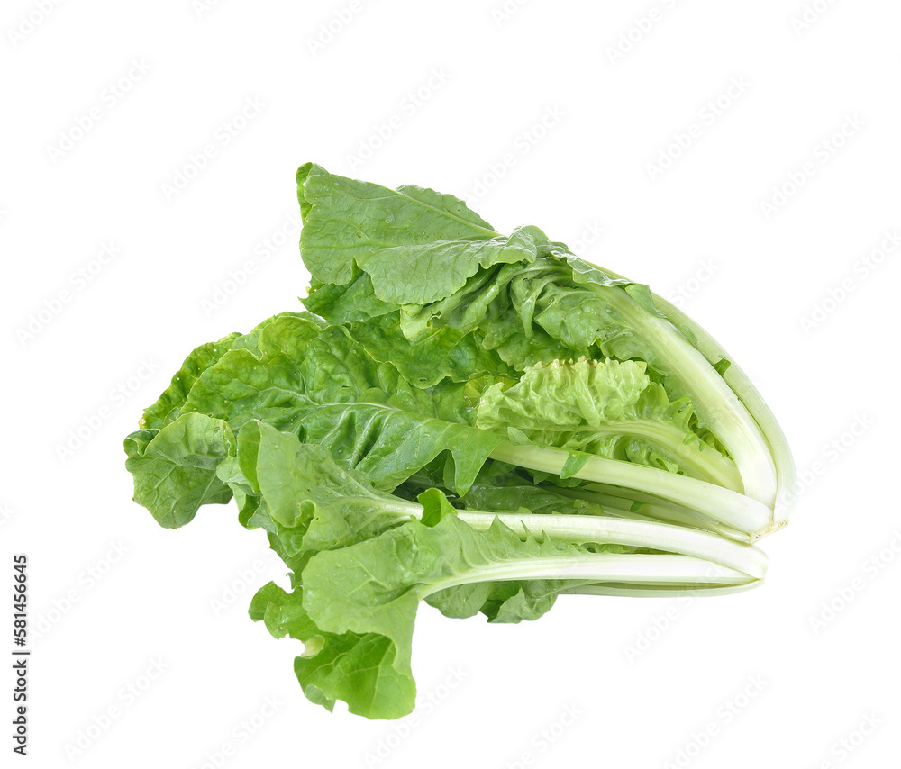 Fresh lettuce isolated on transparent png Fresh lettuce isolated on transparent png