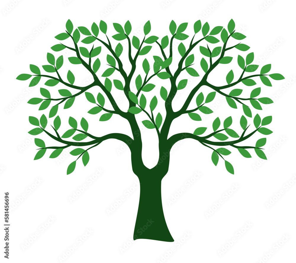 Obraz premium Green tree isolated on white. Vector Illustration.
