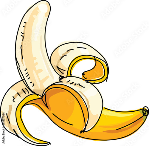 hand drawn vector color illustration of banana