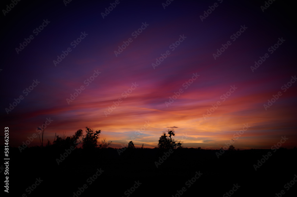 Calm multicolored sky above the contour of trees