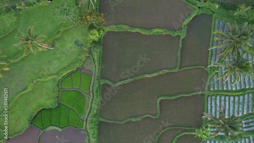 Tetebatu village, east Lombok ricefields aerial view photo