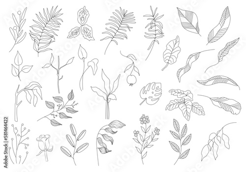 Outline flowers vector set. Black silhouettes of plants. Trendy simple floral tattoo design. Sketch summer and spring herbs. Black hand drawn doodle flowers. Garden fine art bouquet.