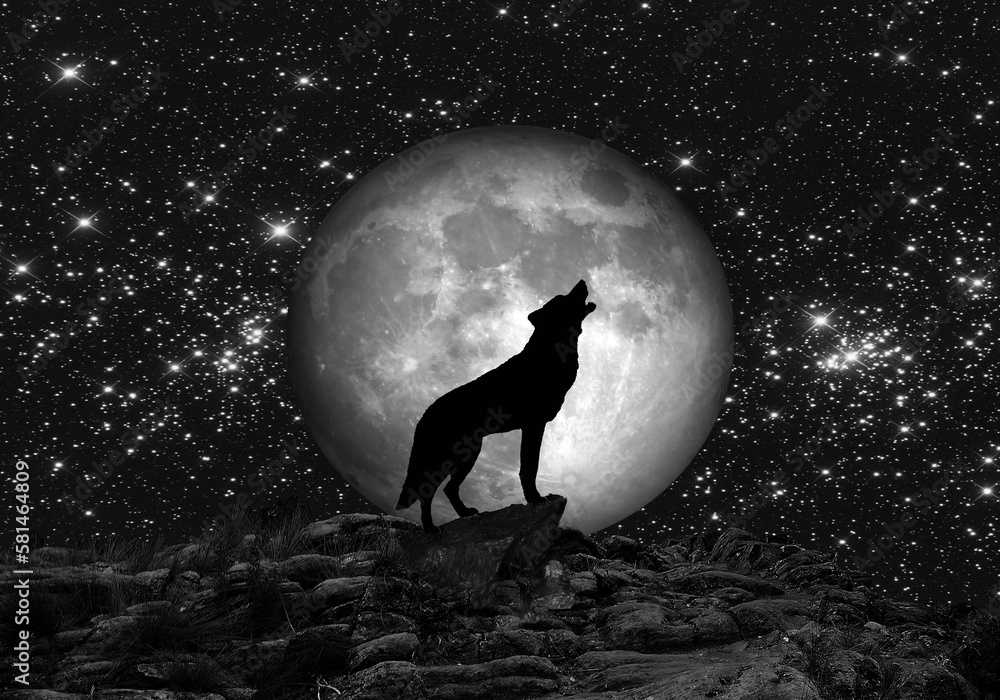 Lobo aullando con luna llena y cielo estrellado - obrazy, fototapety, plakaty 