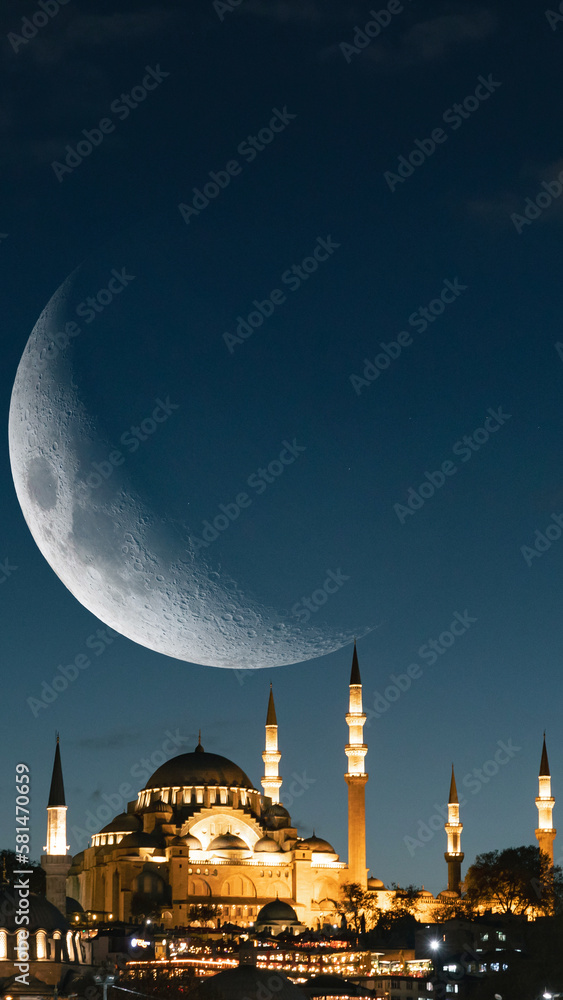 Fototapeta premium Islamic vertical photo. Suleymaniye Mosque with crescent moon