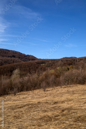 Early spring landscape in a mountainous area and forest on a sunny day. © Ivanna
