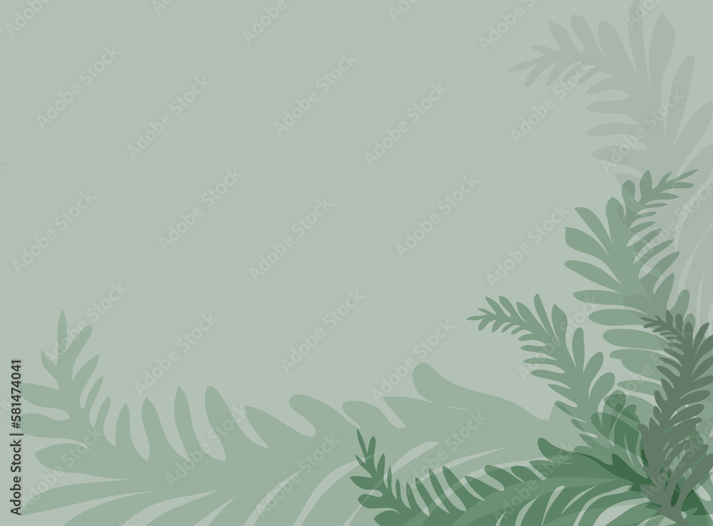 Arrière plan feuilles de fougère vert gris clair sur fond vert clair Arrière plan feuilles de fougère vert gris clair sur fond vert clair