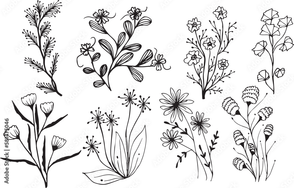 Big set of hand drawn floral vector , Floral sketch collection. Decorative elements for design. Big set of hand drawn floral vector , Floral sketch collection. Decorative elements for design.