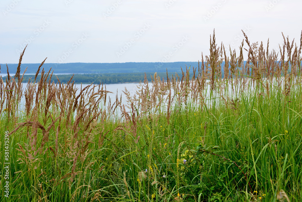 A view of the lake from the shore with green grass and island on horizon 