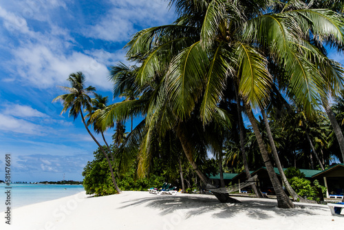 Palmen am Sandstrand auf den Malediven