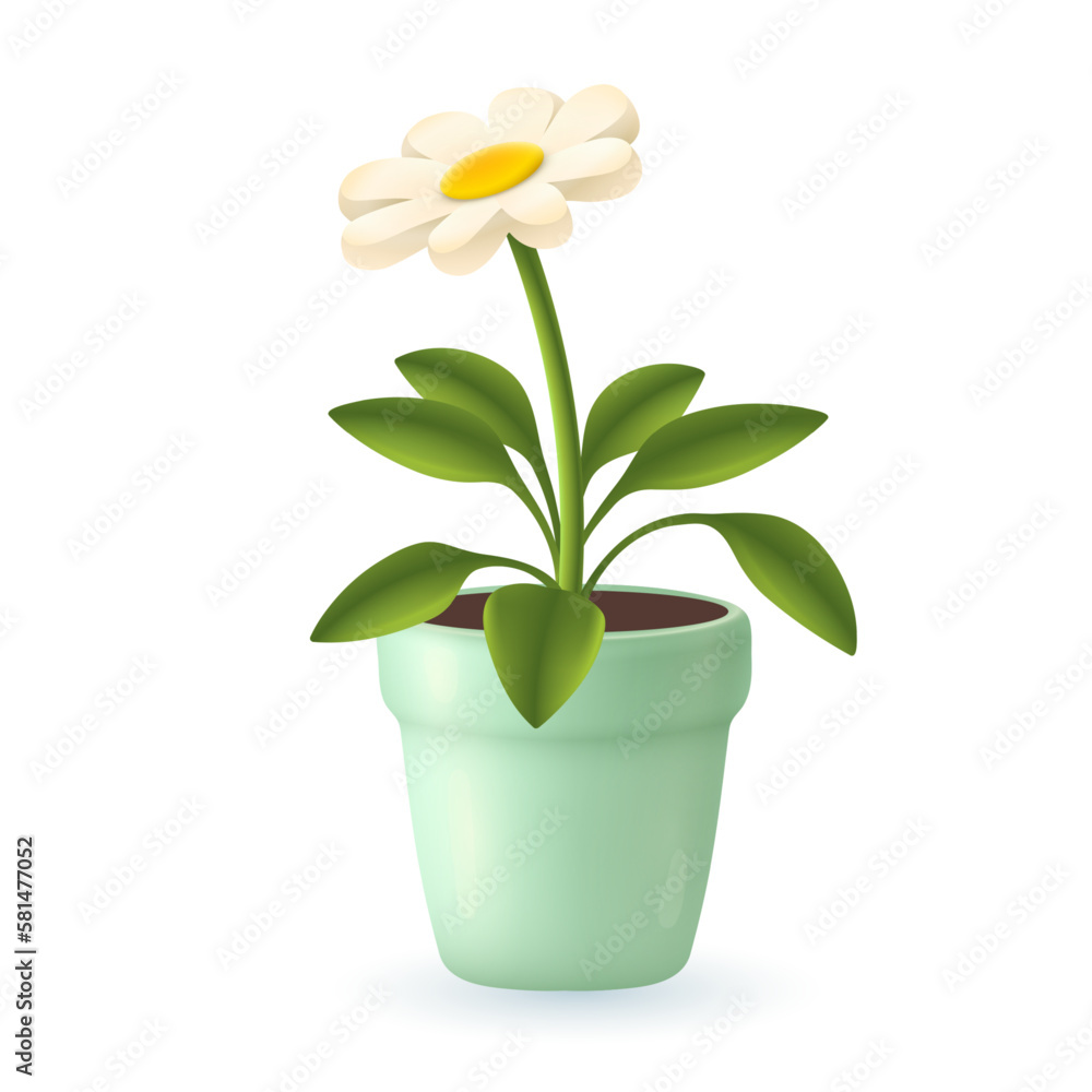 Cute chamomile or daisy in mint flowerpot 3D illustration. Cartoon drawing of flower with white petals in pot in 3D style on white background. Nature, spring, decor, botany concept Cute chamomile or daisy in mint flowerpot 3D illustration. Cartoon drawing of flower with white petals in pot in 3D style on white background. Nature, spring, decor, botany concept