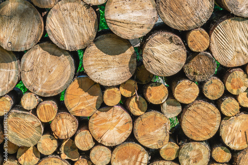 The background of a woodpile with firewood for heating the house in cold weather. Heating of the house. View of sawn wood for the fireplace. Firewood that needs to be chopped with an axe.