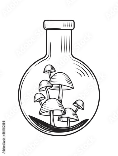 alchemy bottle with mushrooms