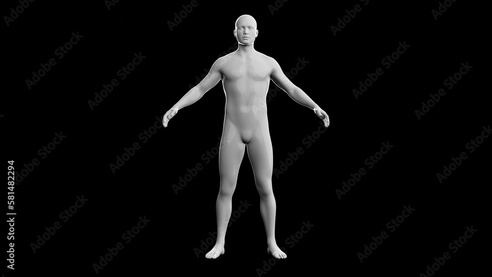 Beautiful young man posing, isolated on black background. 3d illustration (rendering). Plastic shiny mannequin, android, robot. Beautiful young man posing, isolated on black background. 3d illustration (rendering). Plastic shiny mannequin, android, robot.
