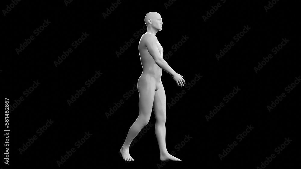 Beautiful young man posing, isolated on black background. 3d illustration (rendering). Plastic shiny mannequin, android, robot. Beautiful young man posing, isolated on black background. 3d illustration (rendering). Plastic shiny mannequin, android, robot.