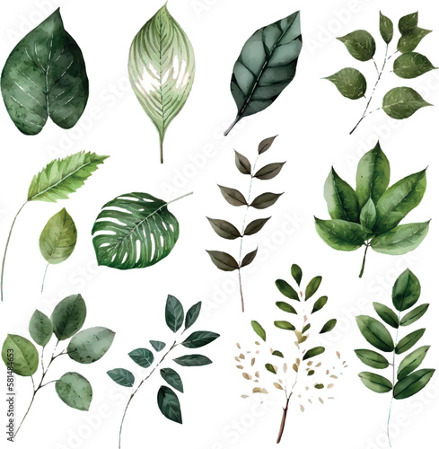Vector Watercolor set of branches with green leaves, for wedding invitations, greetings, wallpapers, fashion, prints. Eucalyptus, olive green leaves.
