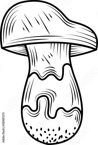 mushroom nature plant